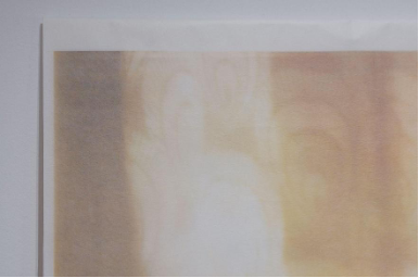 Figure 1 Fu Sheng-Ya, “Feathers at Six O’Clock〈六點的羽毛〉,” thin fiber paper, PS plate, acrylic stand, 116x62 cm, 2024. (Left) The upper left corner of the work, where the original curtain pattern appears when the papers are attached.